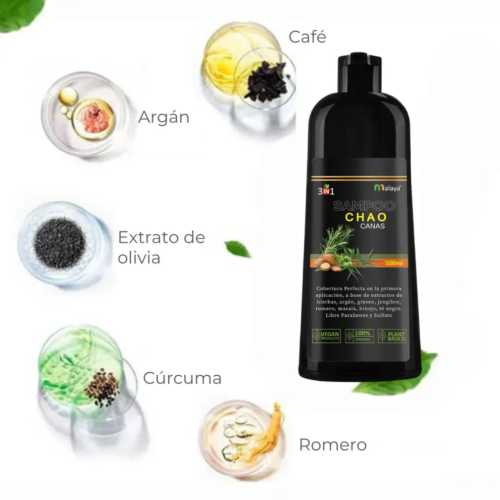 Chao Canas® | Shampoo Cubra Canas 3 in 1 + Tratamiento de Regalo – LQ ...