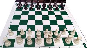 Juego Ajedrez Plegable De Vinilo